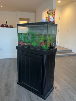 Fish Tank