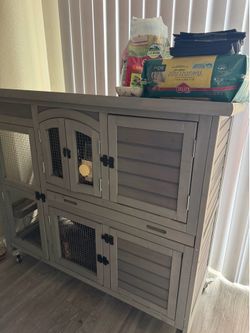 Guinea Pig & Cage