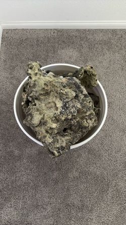 rock for saltwater tank