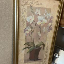 Floral Portraits 