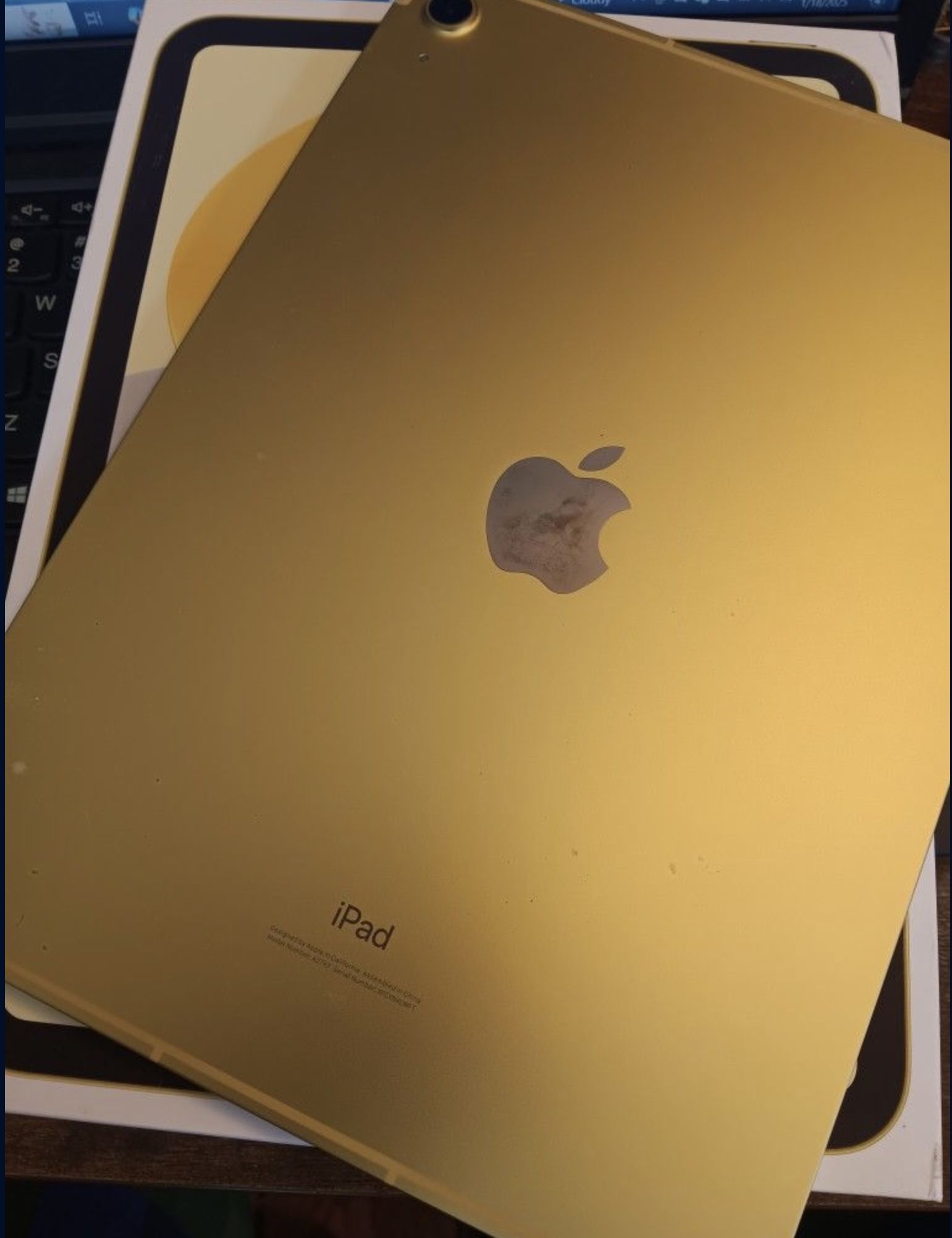iPad 10th Gen Cellular Unlocked