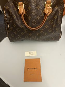 Louis Vuitton Bag 