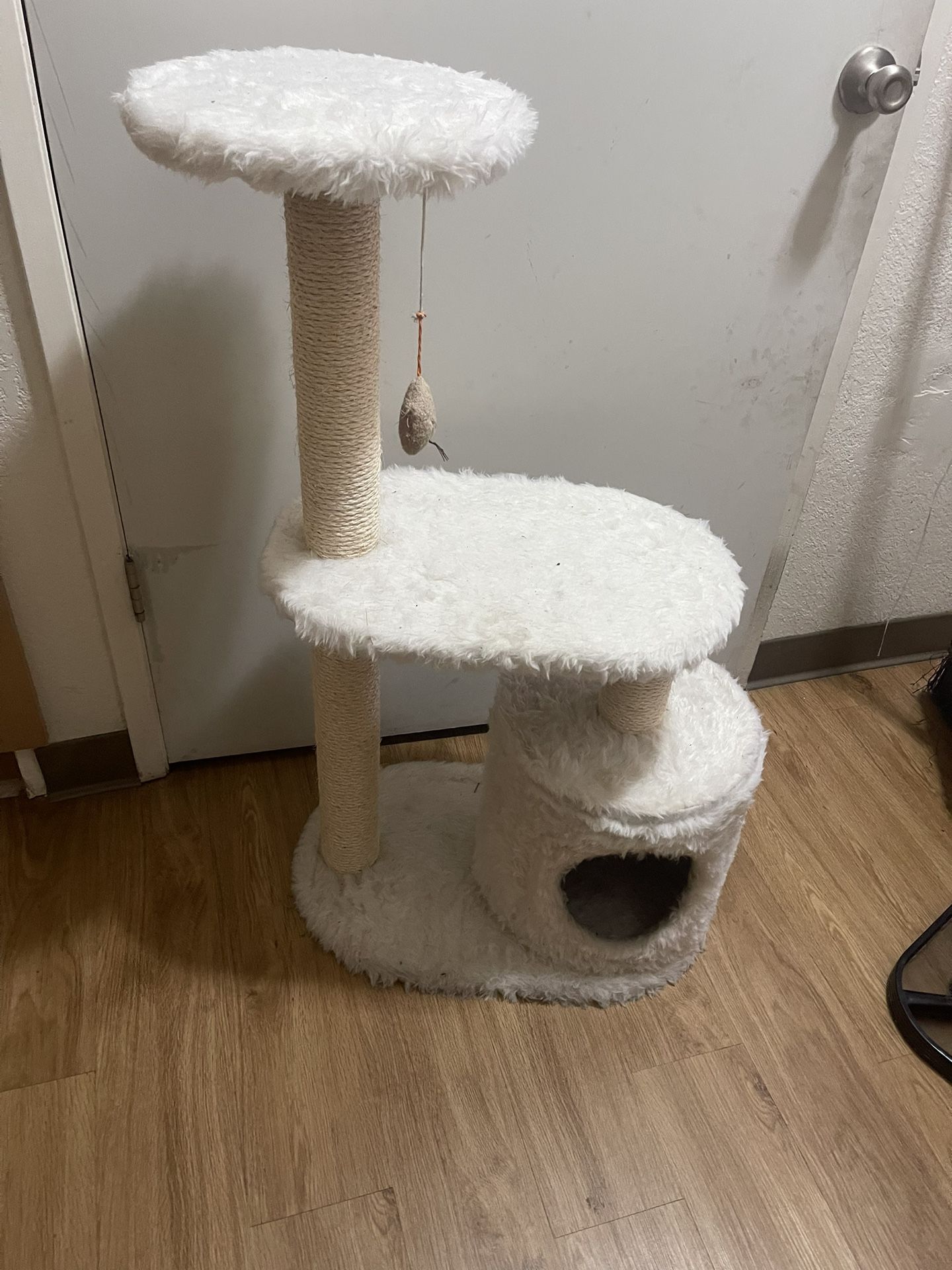 Cat House
