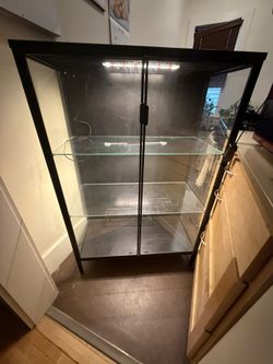 Plant Display Cabinet