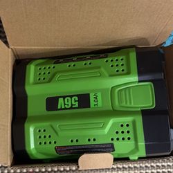 BA4200T 3000mAh Replacement for EGO 56 Volt Battery, Compatible with EGO Snowblower, Leaf Blower, Electric Cordless Power Tools and Charger(3.0Amps-1P