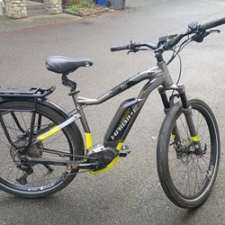 Haibike XDURO Trekking RX