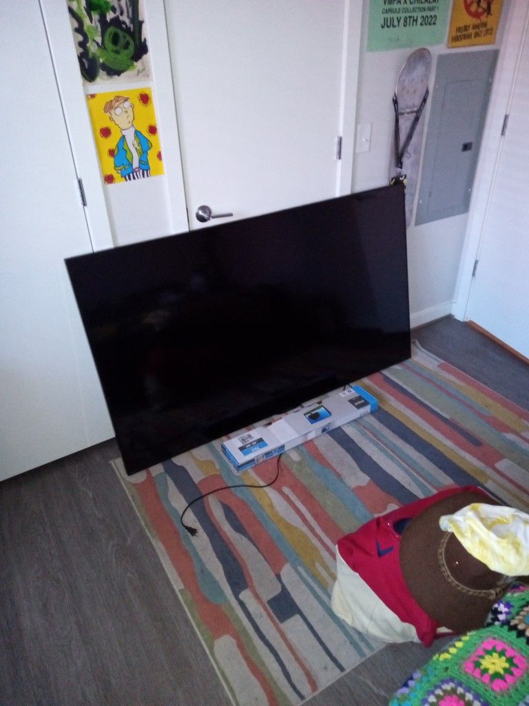 60 Inch TV With New Mount 