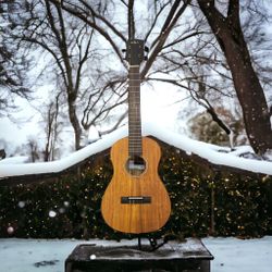 Kala Baritone Ukulele 