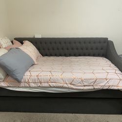 Bed Couch 