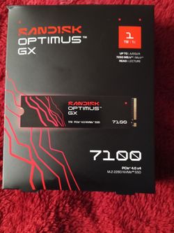 SanDisk optimus GX 1 TB SSD for the PS5 and PC