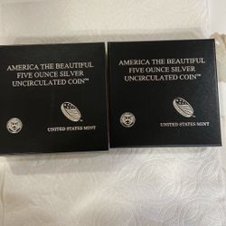 5 Ounce Silver coin
