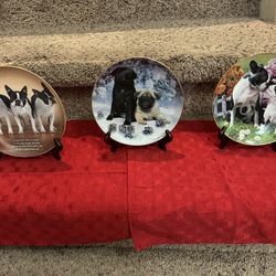 Collector Plates Limited Edition – Get All Items For One Price