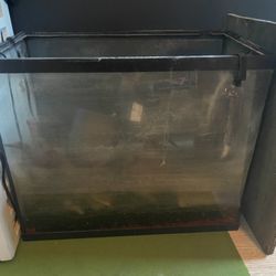 20 Fish Tank 