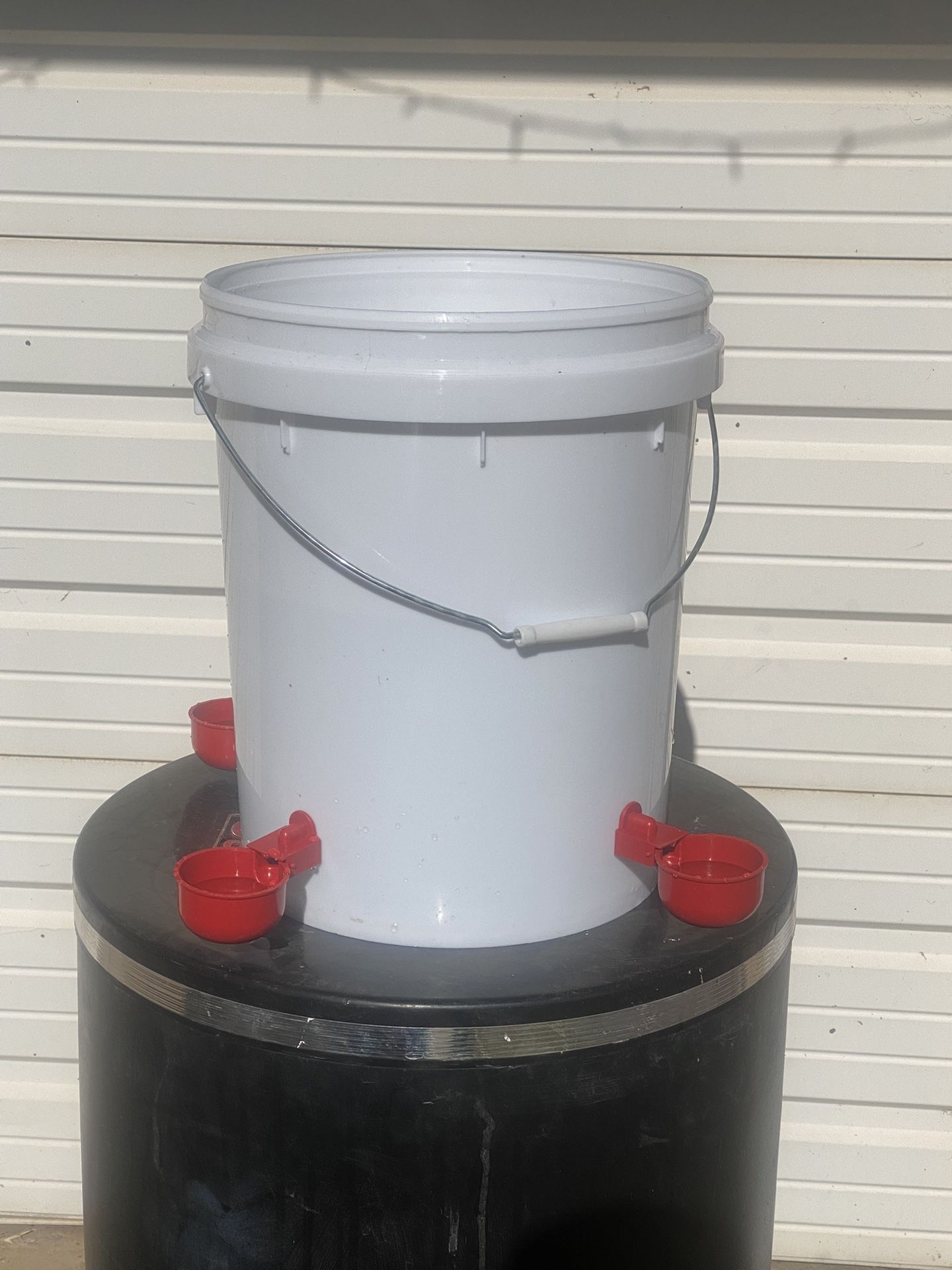 Chicken water feeders