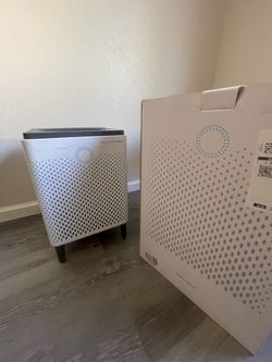 Air Purifier (Coway Airmega 300)