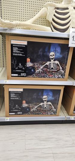 groundbraker Skeleton