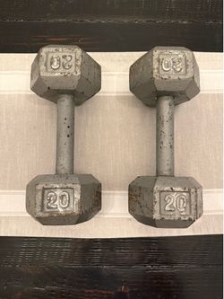 2 x 20 lb weights - used