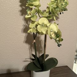 GREEN ORCHID FAKE PLANT (NEW)