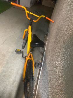 Orange mongoose