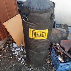 Everlast Heavy Bag