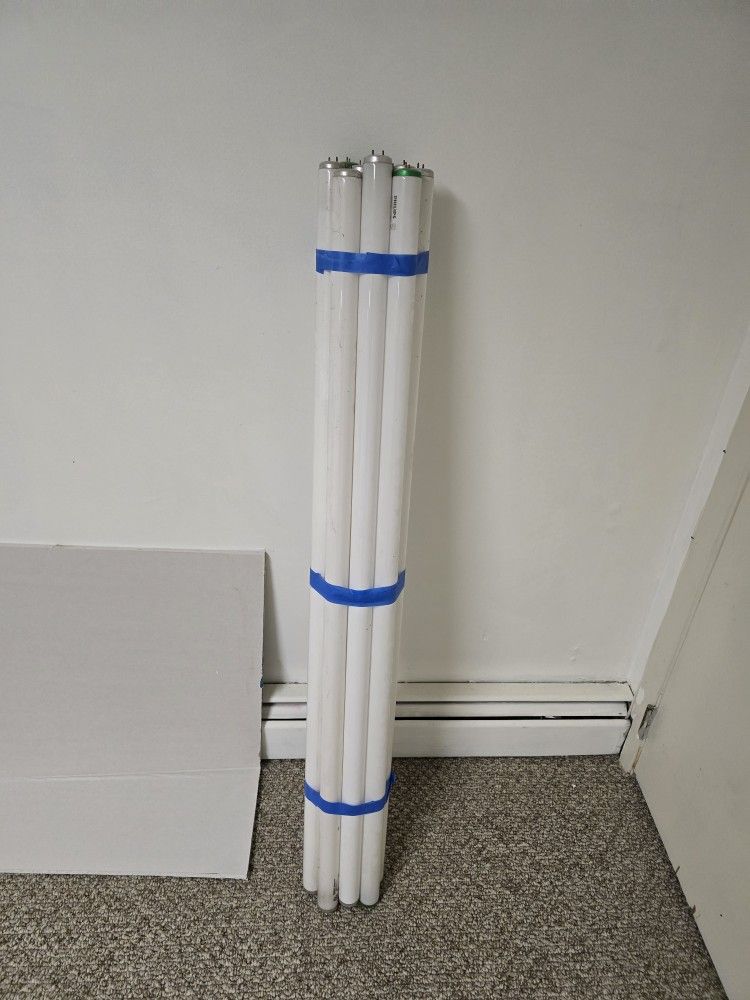 4 Foot FLUORESCENT LIGHT BULBS