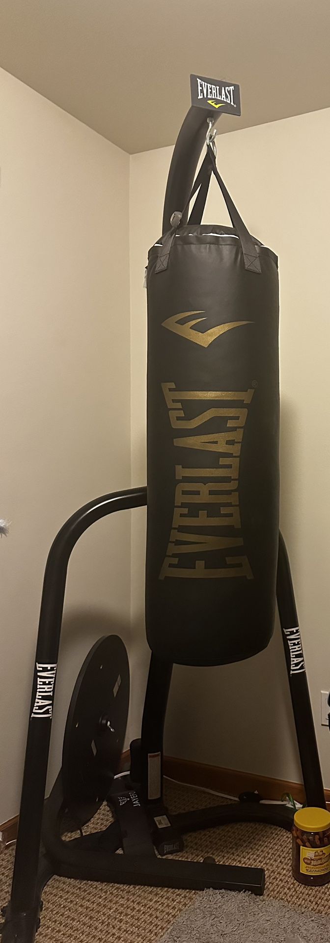 Everlast Punching Bad With Speed Bag 