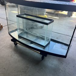 Reptile Cage** Big One Sold 