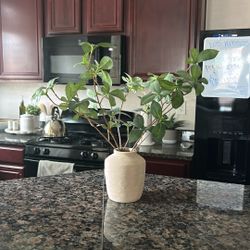 Decorative plant 