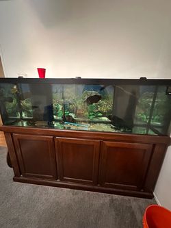 125g aquarium 6ft long