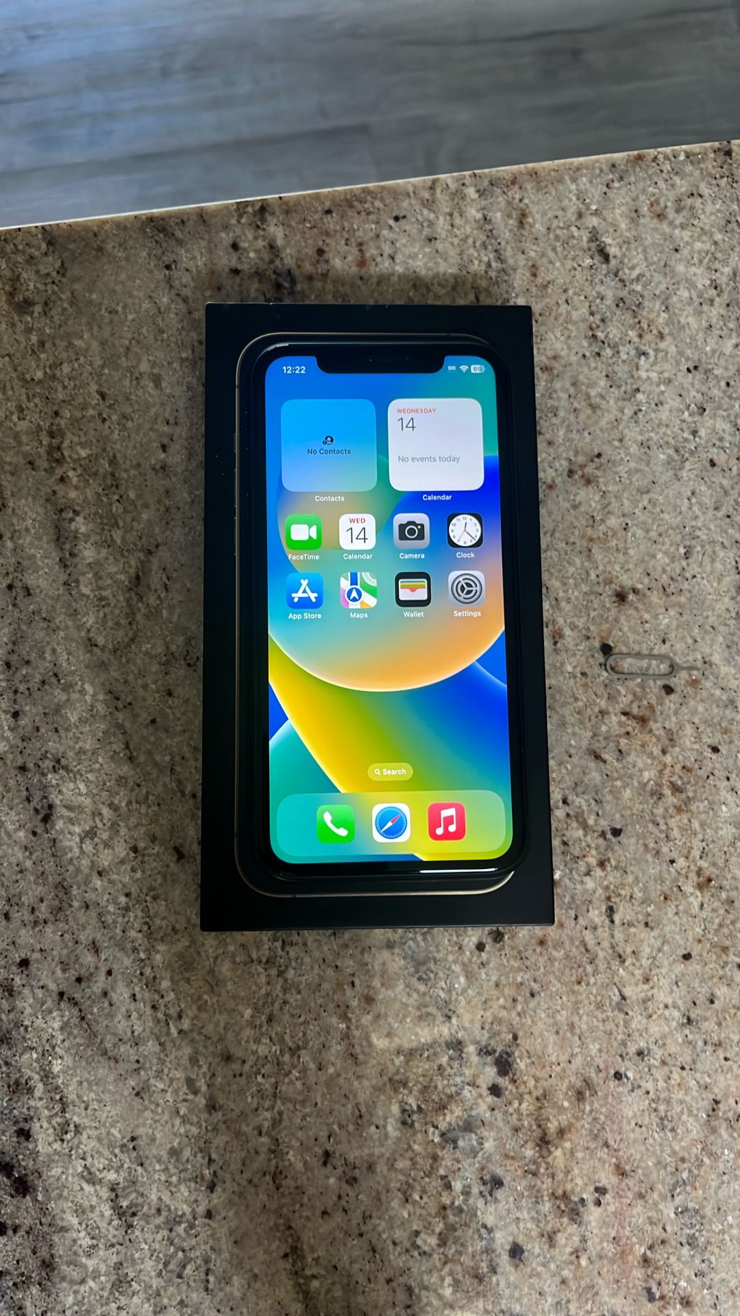 iPhone X