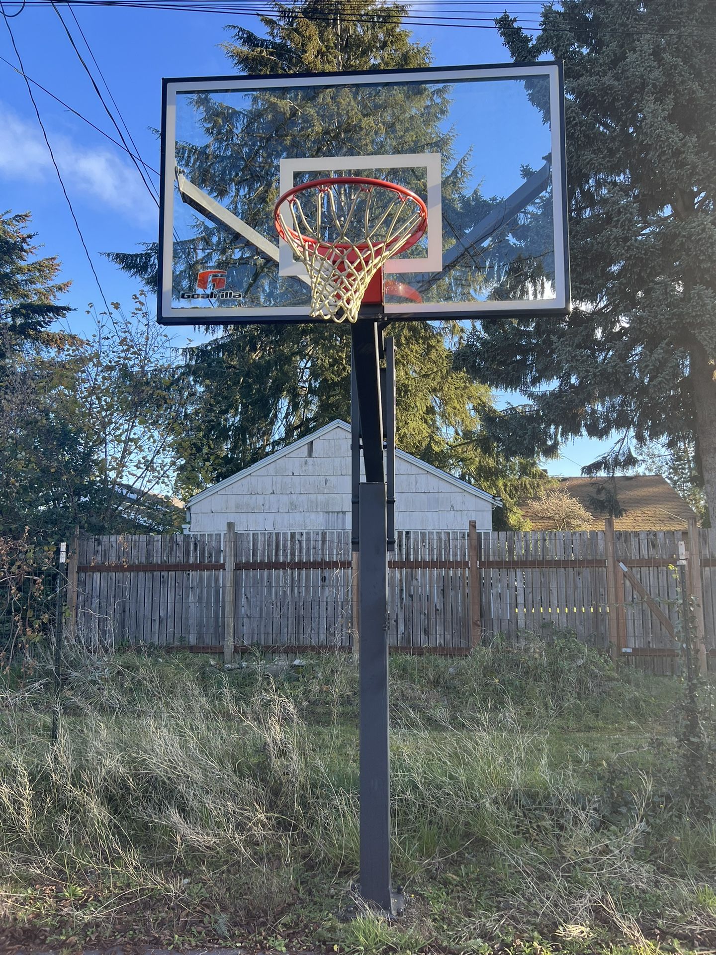 Gorilla Basketball Hoop - In ground/adjustable