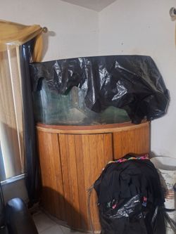 Fish coner aquarium