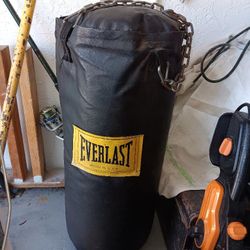 Everlast Punching Bag