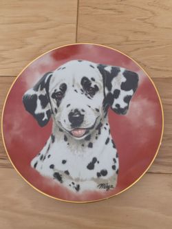 Dalmatian Display Plate