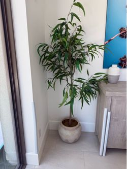 Faux plant