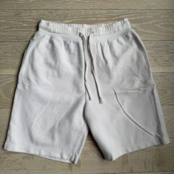 ZARA Shorts