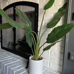 Decorative Plant Pot