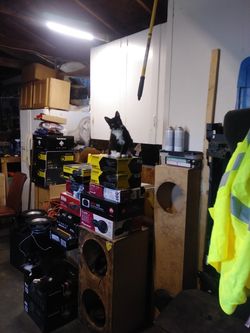 Car audio equipments, "Pancho" and "fluffy" says we have it