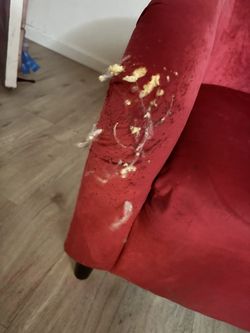 Living Room Chairs