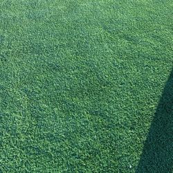 Turf For Sale