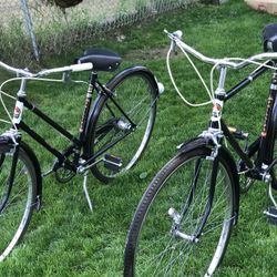 Dual Classic Bike, Famale And Man 