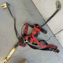 Safety Harness 