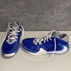 Nike Men’s Size 8.5 Zoom Freak 1 Greece Basketball Shoes 