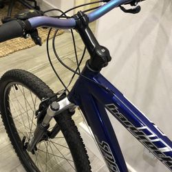 Specialized Mountain Bike Trails Leisure Fun Tuned Ready/Ride 