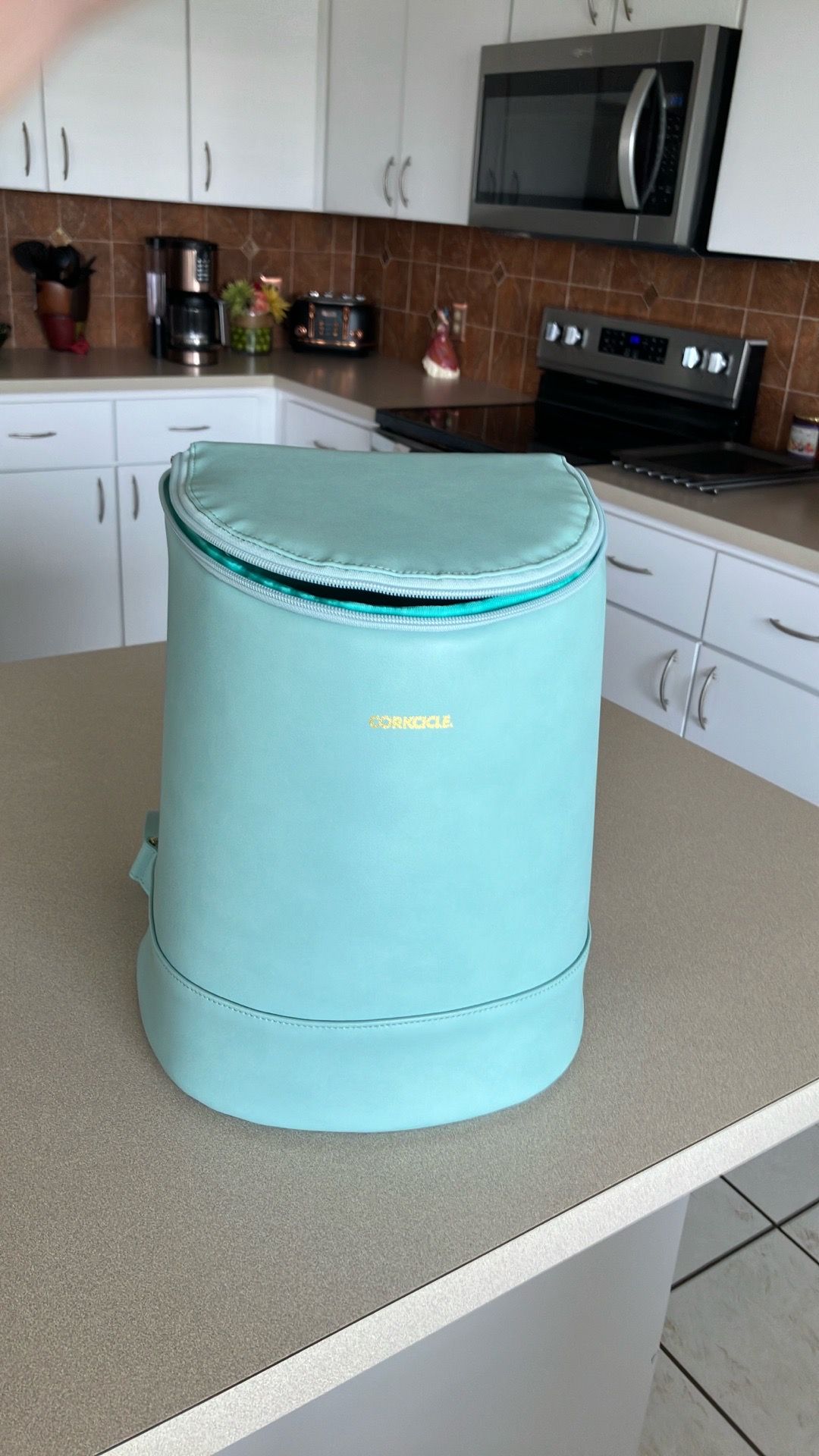 Corkcicle Bucket Cooler Bag