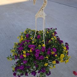 Calibrachoa, Million Bells Beautiful And Healthy HANGING BASKETS PLANTS ARRIVED. $14 each
