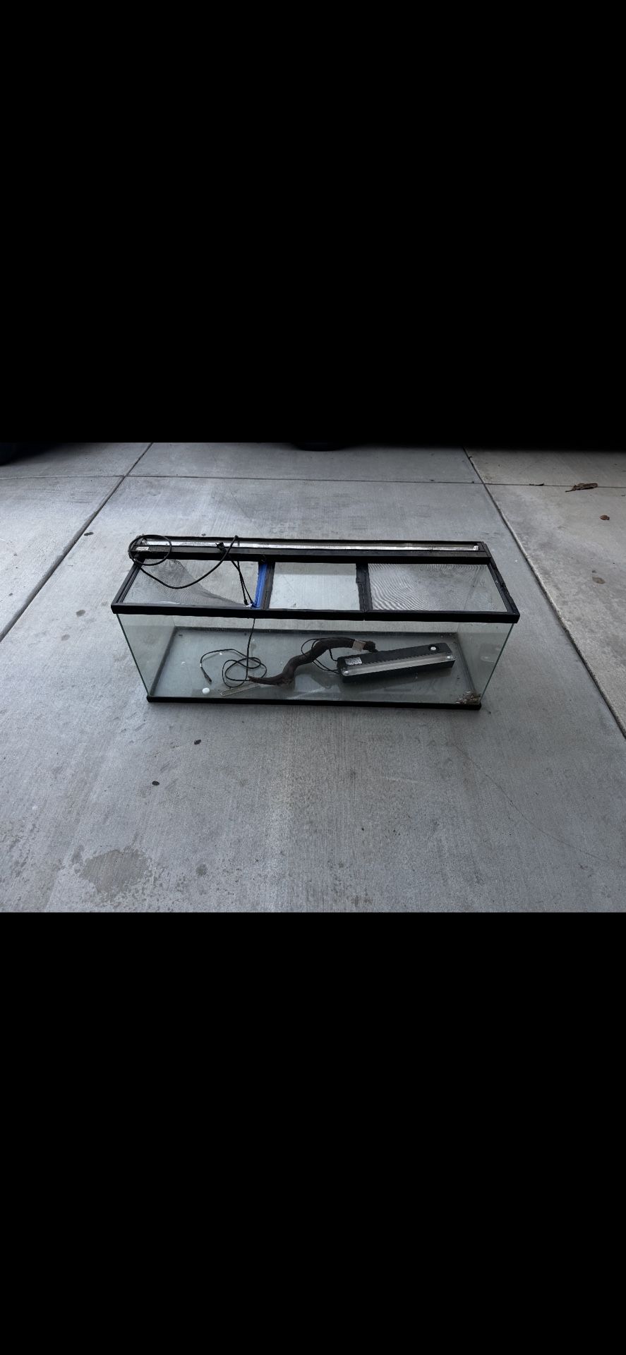 Reptile Tank
