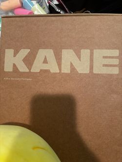KANE recovery shoes