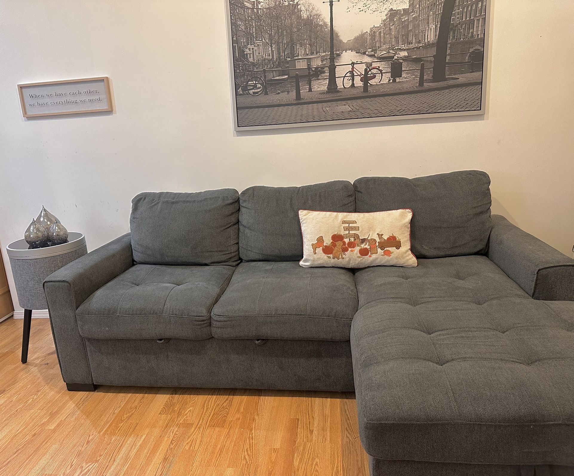 Couch With Storage (Bed Sleeper Pull Out 2in 1) 