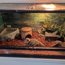 50 Gallon Terrarium 36x18x18 